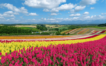 keindahan Hokkaido