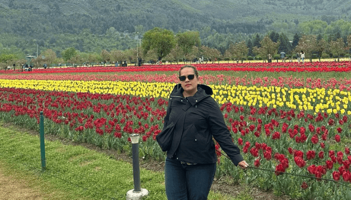 Tulips Garden