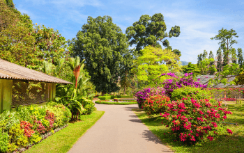 Botanic Garden