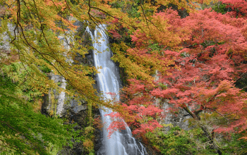 Minoo Park