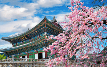 Pemandangan musim gugur di Nami Island, highlight trip Korea murah.