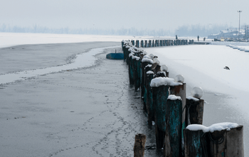 The Frozen Dal Lake